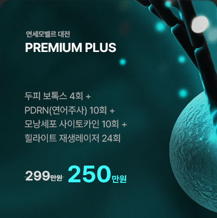 연세모벨르 이벤트